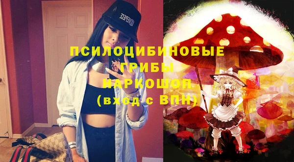 2c-b Дмитриев