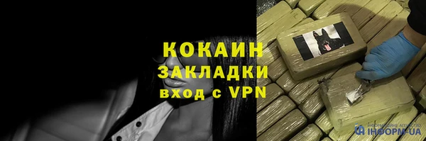 ПСИЛОЦИБИНОВЫЕ ГРИБЫ Дмитров