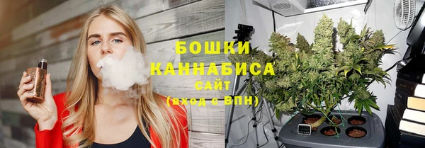 ПСИЛОЦИБИНОВЫЕ ГРИБЫ Дмитров