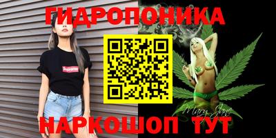 сатива Бийск