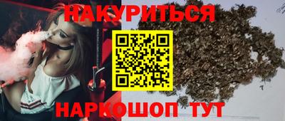 сатива Бийск