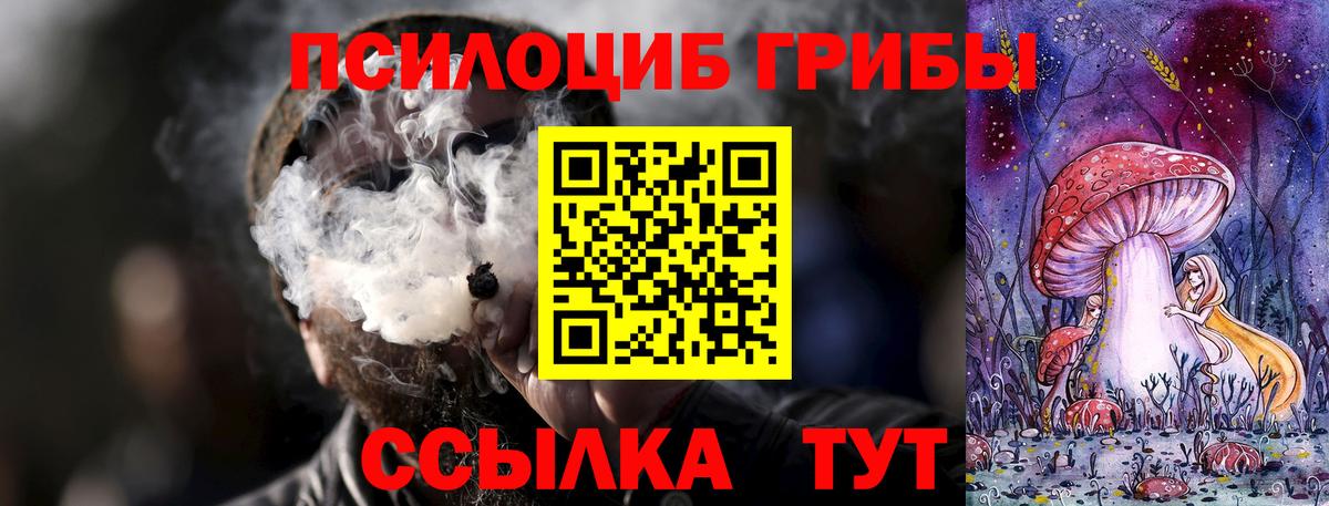 Псилоцибиновые грибы Magic Shrooms  Псилоцибиновые грибы Magic Shrooms  Елабуга 