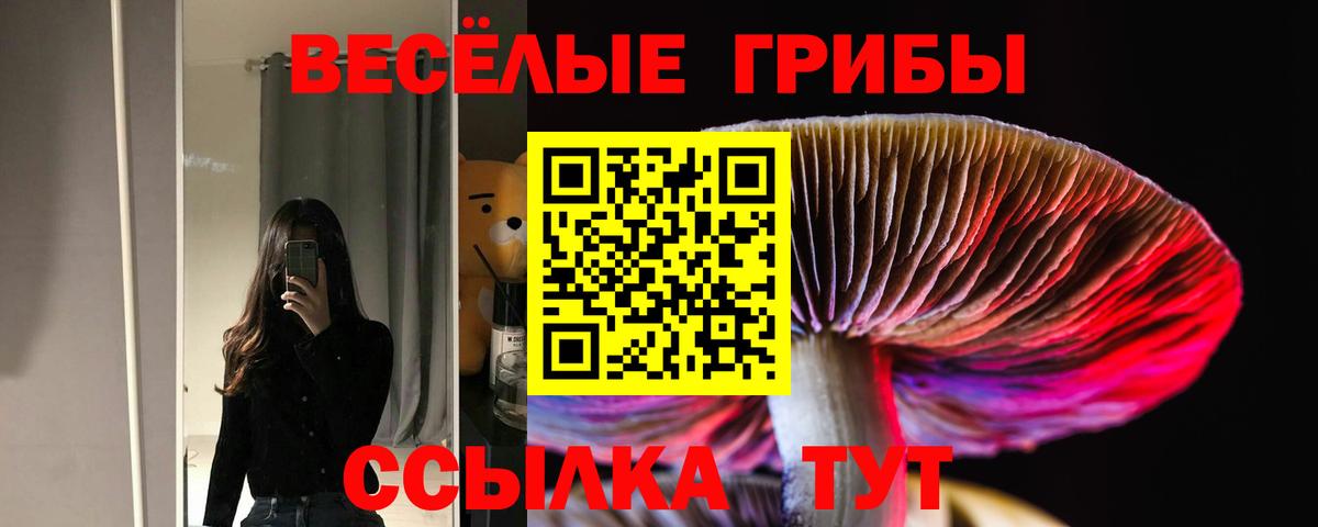 Галлюциногенные грибы Cubensis  Вход с VPN  Галлюциногенные грибы ЛСД  Елабуга 