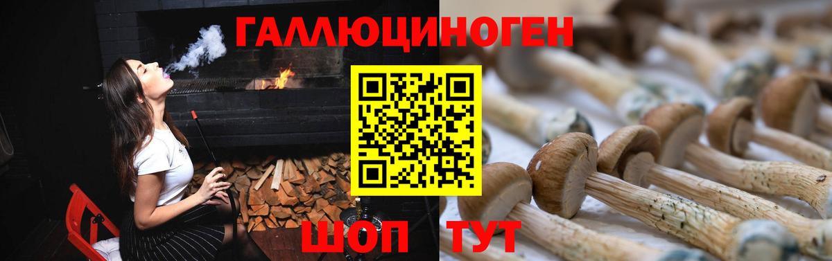 Галлюциногенные грибы MAGIC MUSHROOMS Елабуга